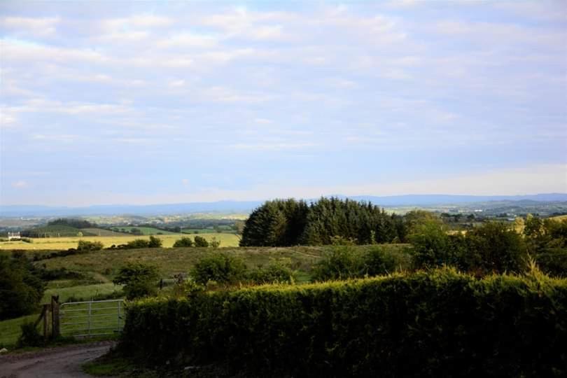 Crockgarve B And B Galbally Extérieur photo